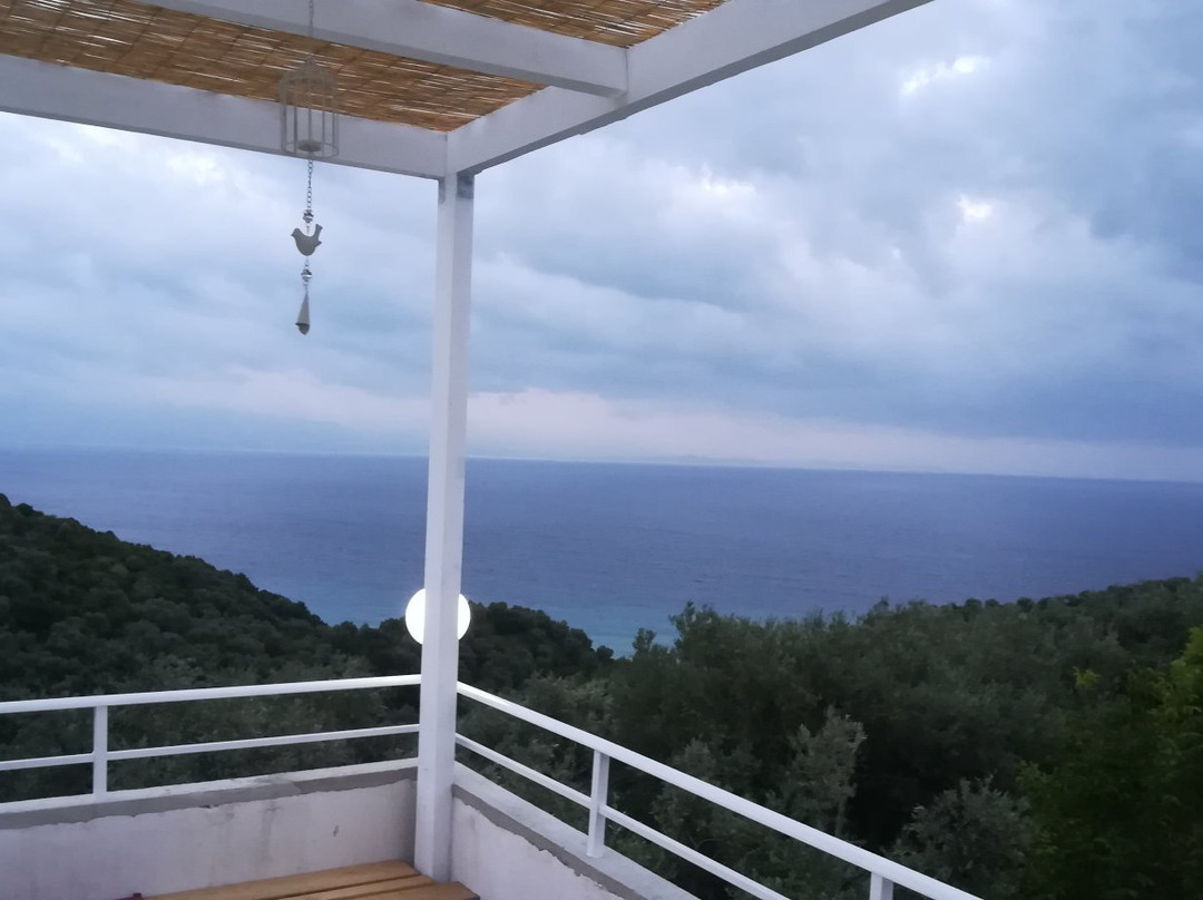 Adrian Agustin Rooms主图