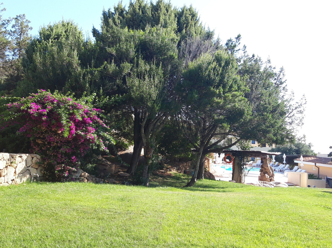 Stelle Marine Hotel & Resort主图