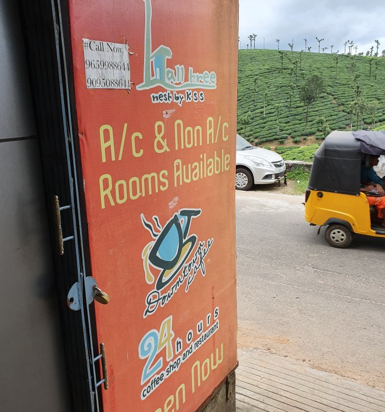 Tall Tree Nest主图