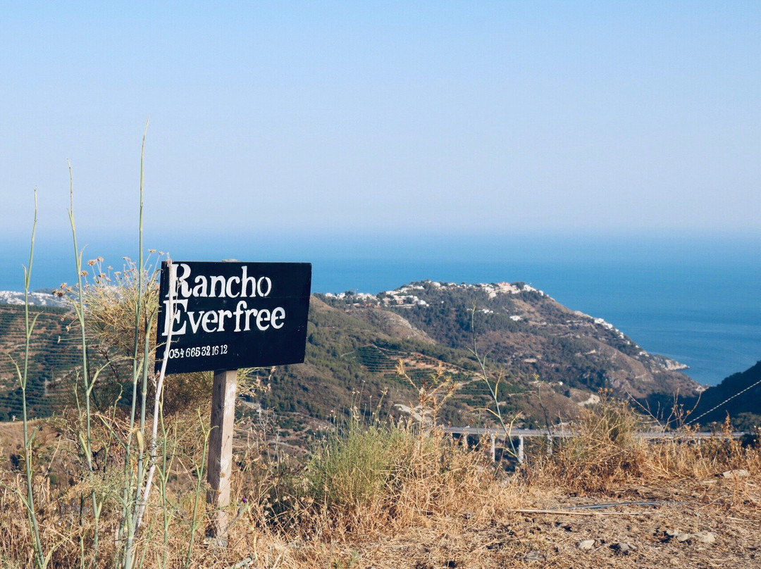 Rancho Everfree-内尔哈必去景点