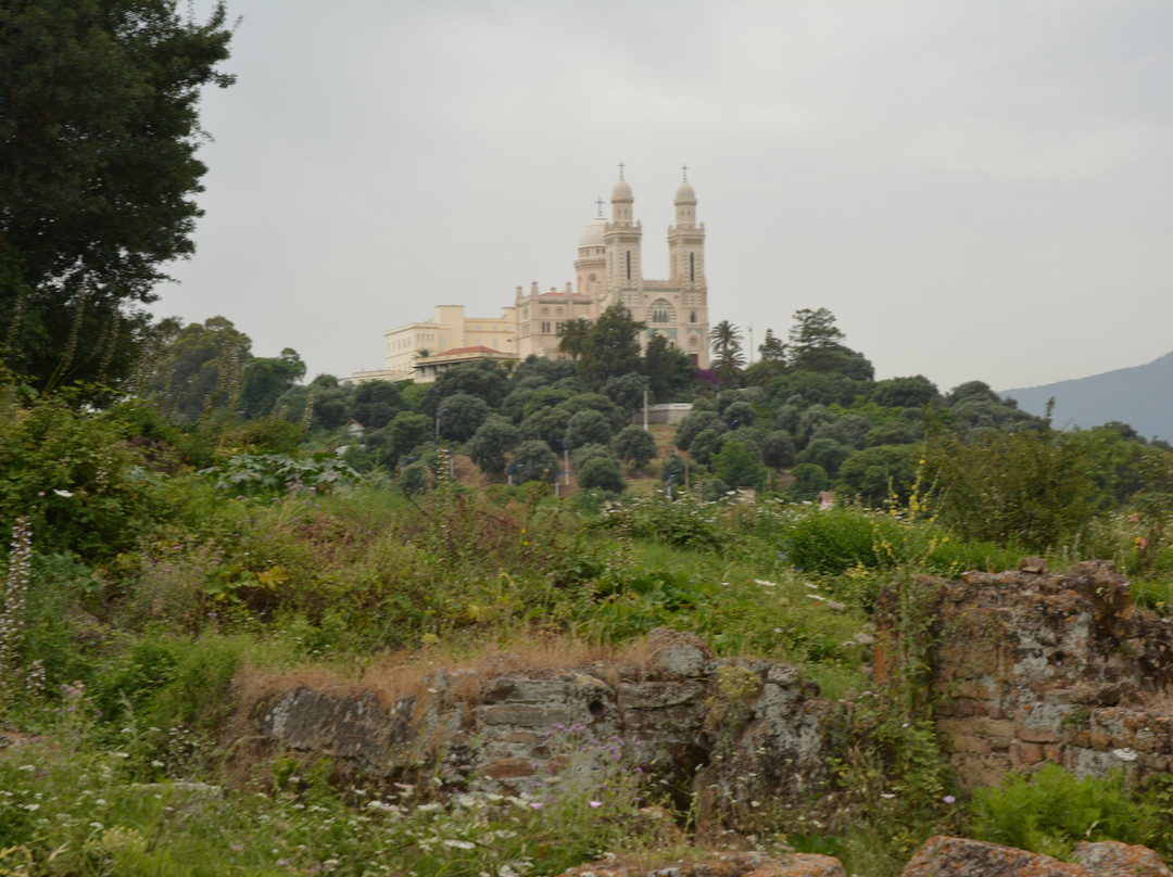 Musee des Ruines d' Hippone景点图片