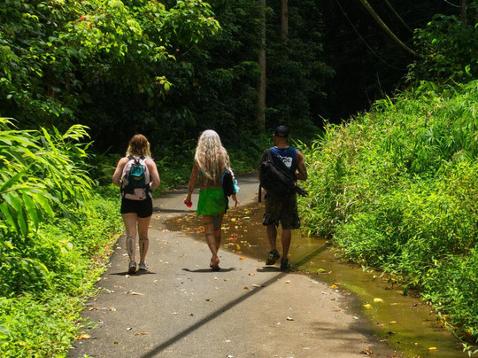 Elf's Custom Island Adventures-瓦胡岛必去景点