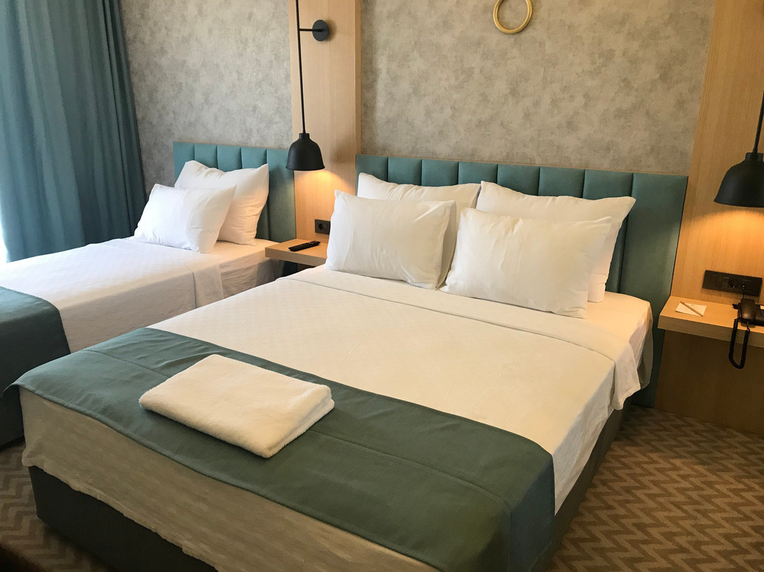 Angels Park Hotel主图