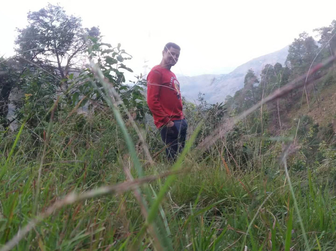 Hotel Ranjeet Palace主图