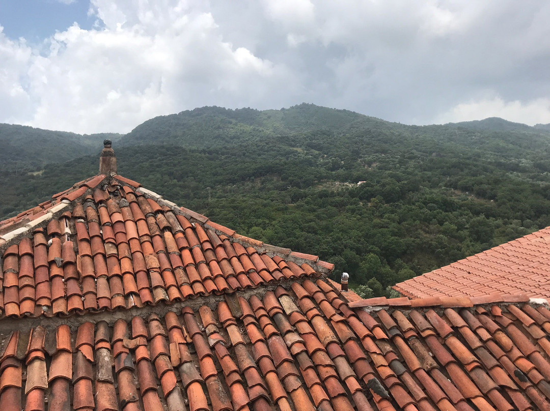 Santuario di Sant'Antonio Abate景点图片
