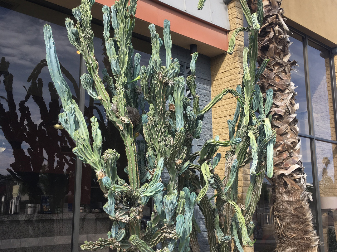 贝斯特韦斯特戴趣酒店主图