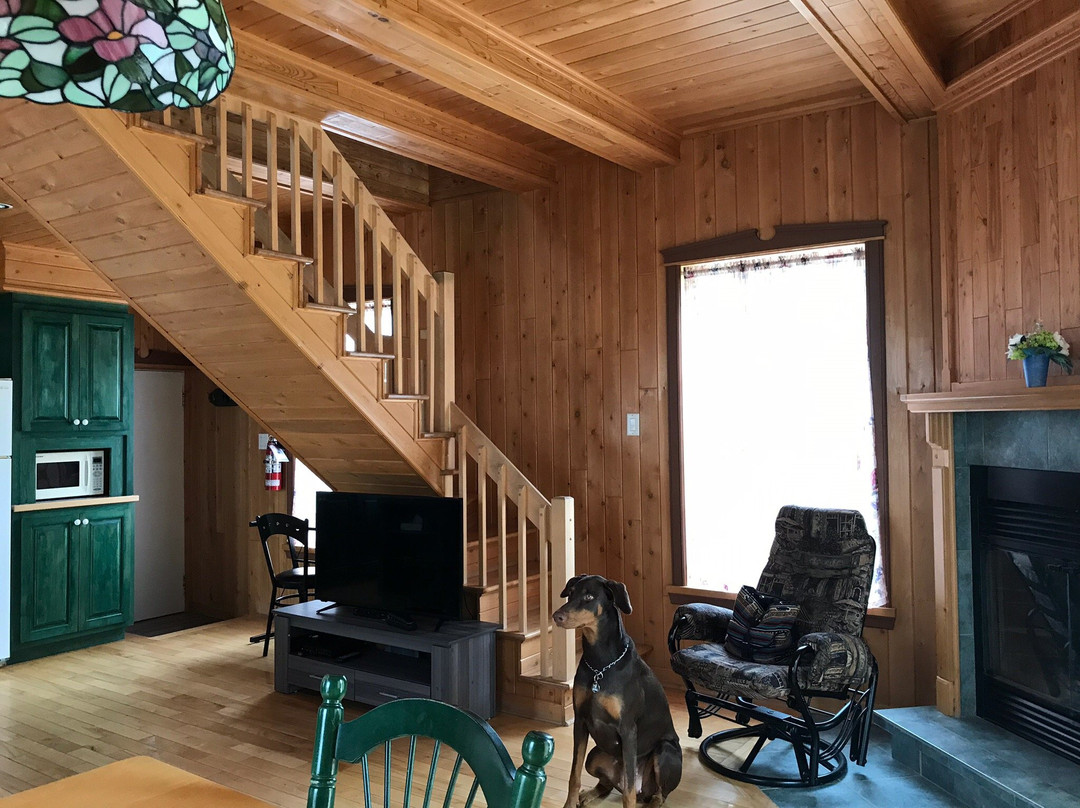 Hotel Motel Fleur de Lys主图