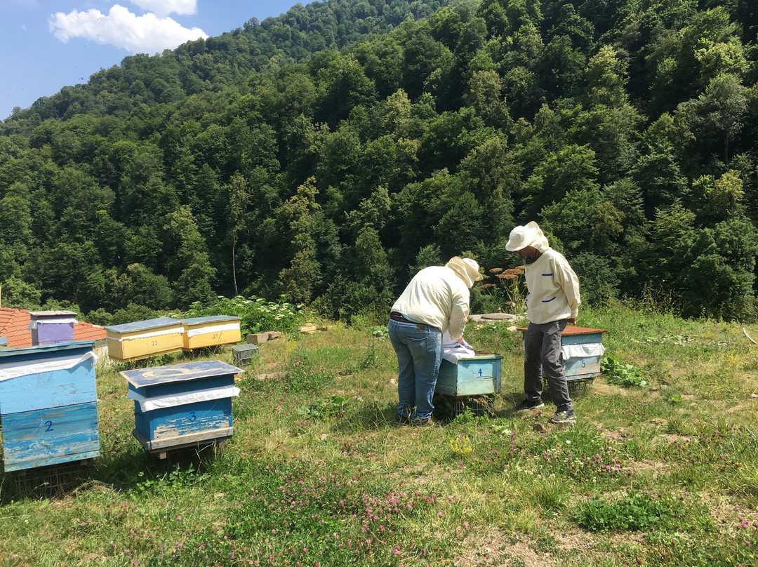 Vanatun Monastery Stay主图