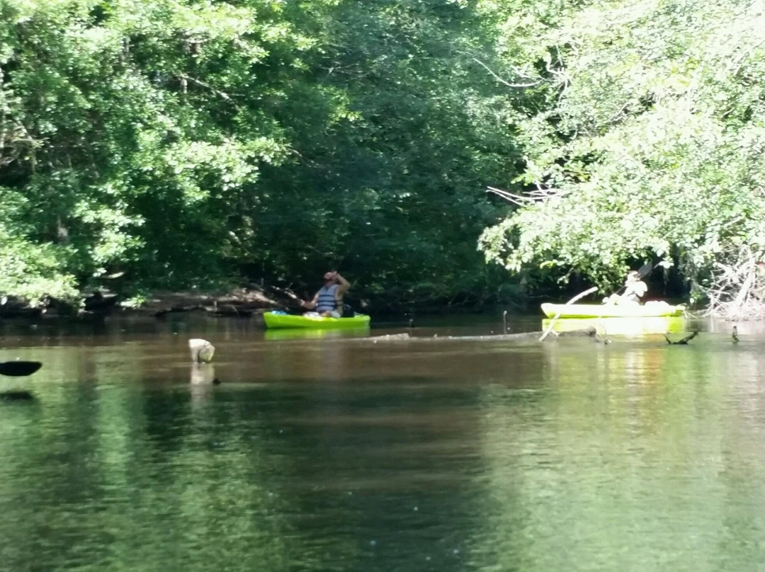 Cope Kayak Company LLC.景点图片