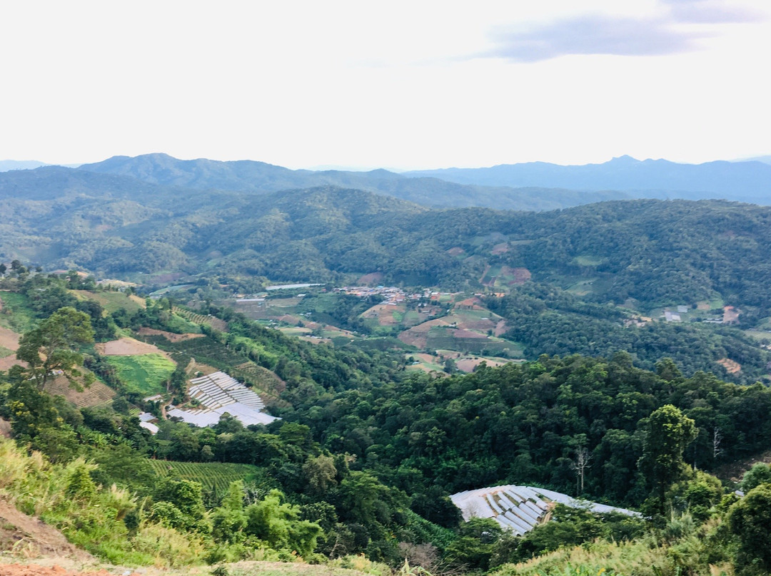 Pong Yaeng旅游攻略图片