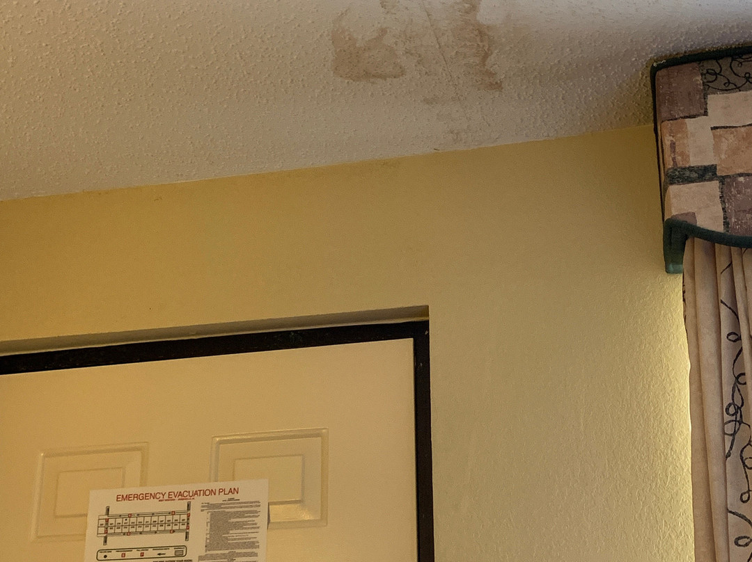 格林维尔贝斯特韦斯特酒店主图