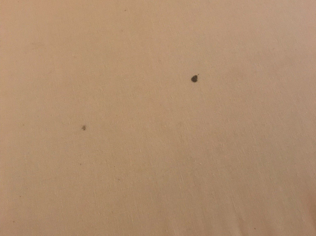 Hotel La Tchadienne主图