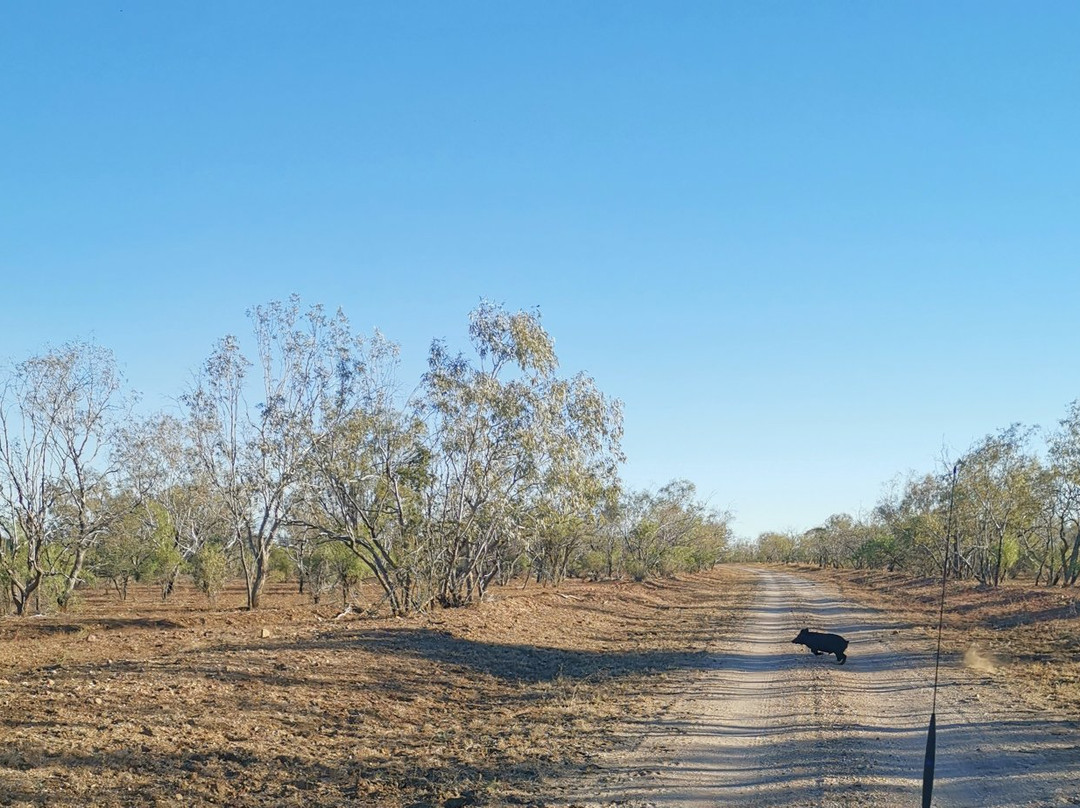 Captain Starlight of Starlight's Lookout-Longreach必去景点