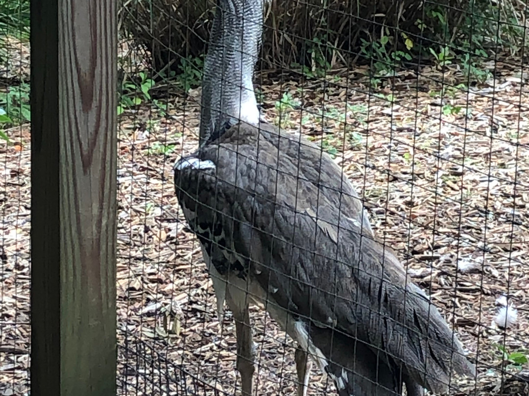 亚特兰大动物园-亚特兰大必去景点