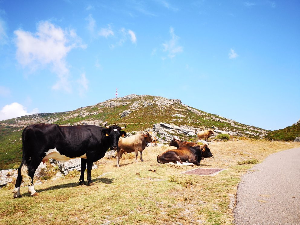 Serra Di Pigno-Bastia必去景点