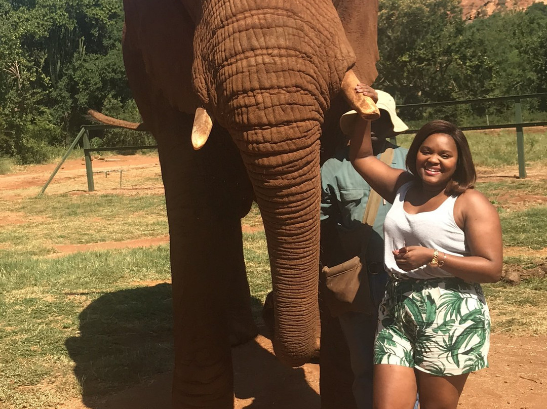 Elephant Sanctuary Hartbeesport Dam-哈特比斯普特必去景点