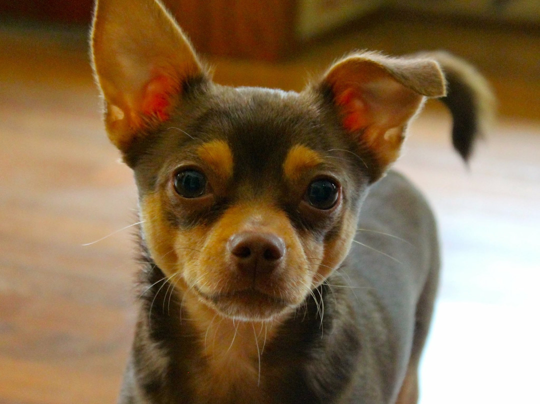 Body Wisdom Therapeutic Massage and Bodywork-查塔努加必去景点