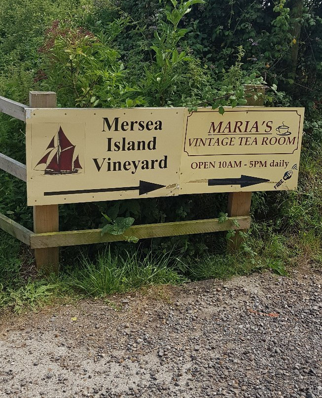 Mersea Island Vineyard景点图片