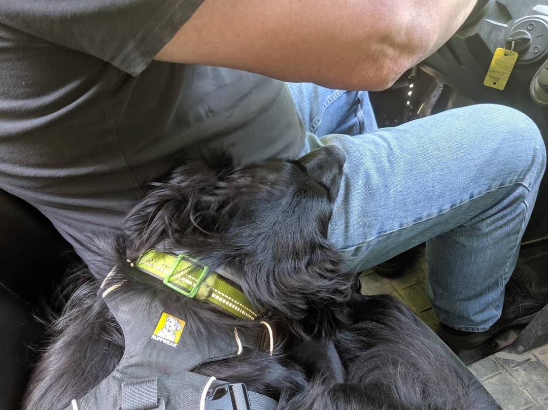 White Mountain ATV Rental-Gorham必去景点