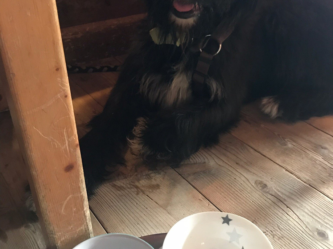 Berghotel Breitmoos主图