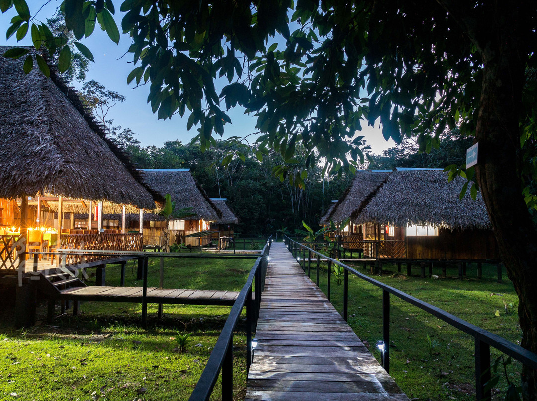 Green Forest Ecolodge