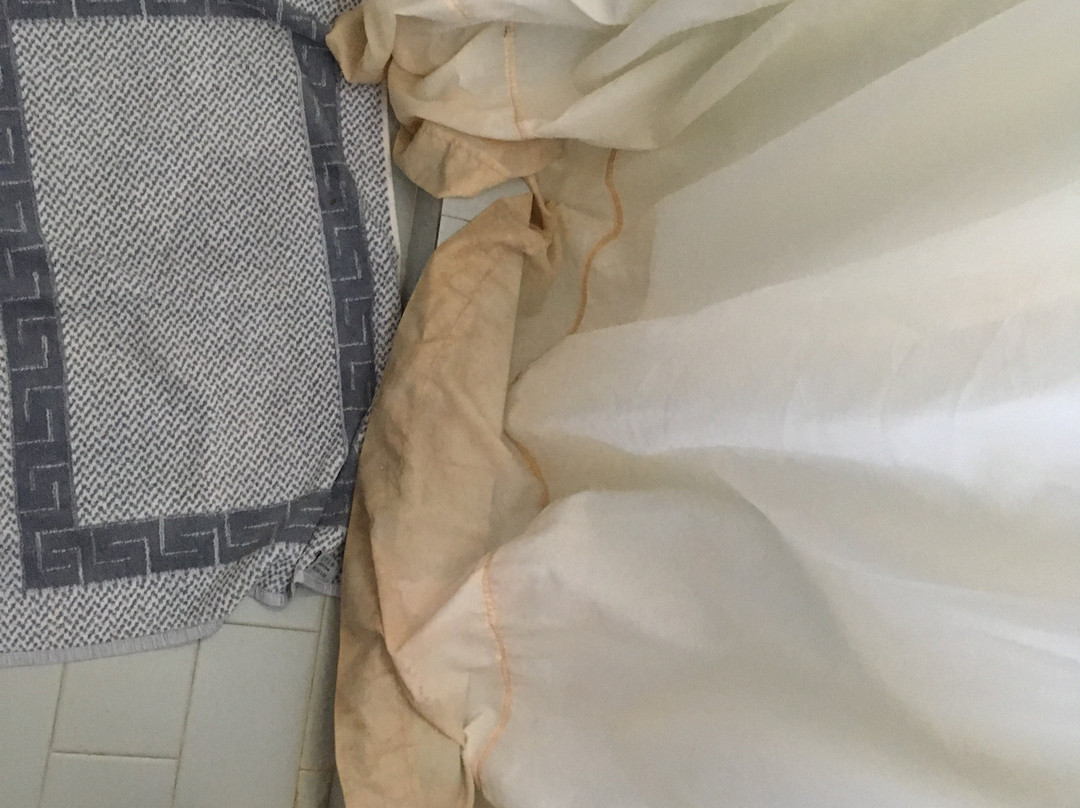 Elizabeth Studios主图