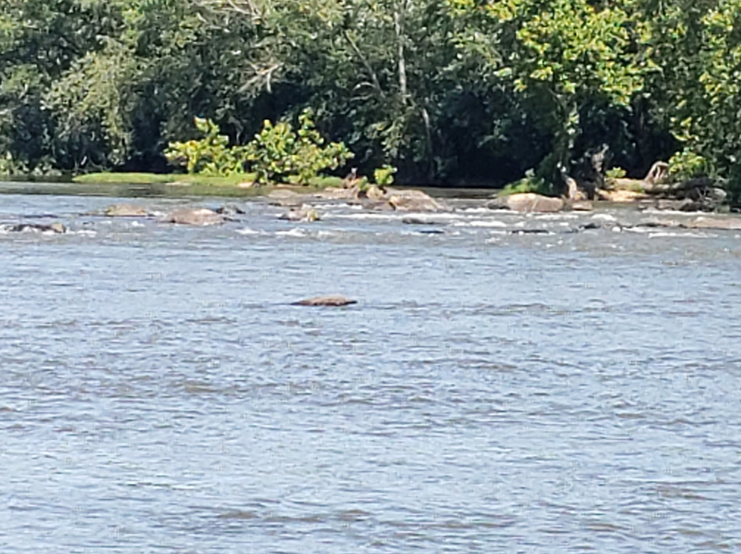 James River Reeling and Rafting景点图片