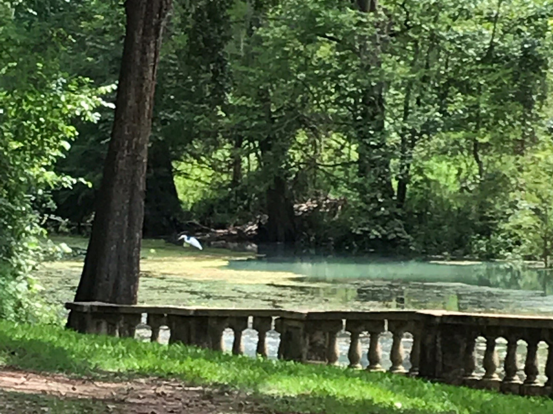 Radium Springs Gardens-奥尔巴尼必去景点