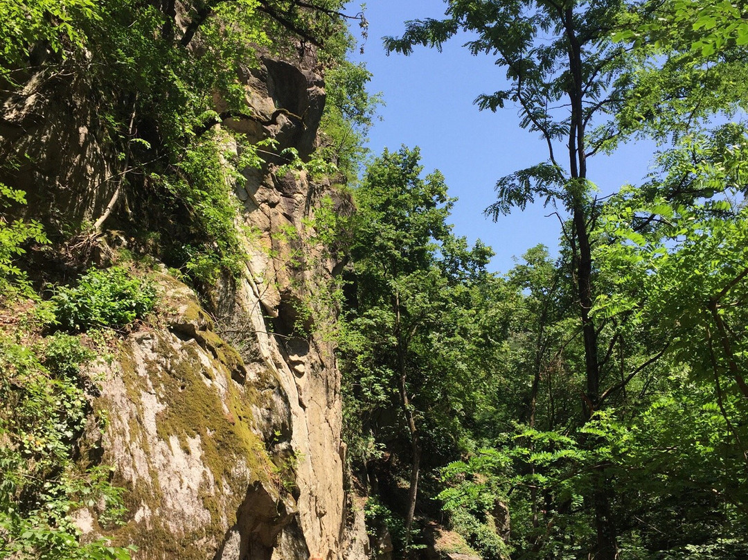 Gaul Canyon景点图片