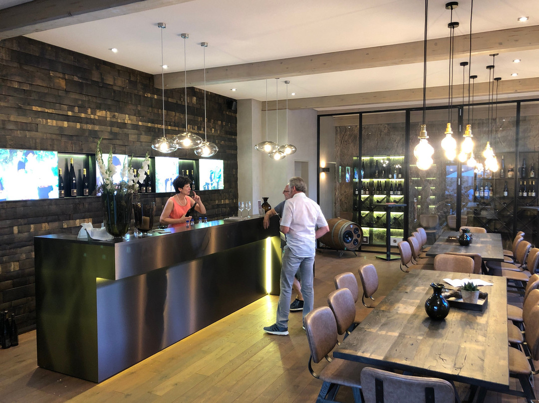 Wachenheim an der Weinstrasse酒店住宿-Weingut und Landhotel Lucashof