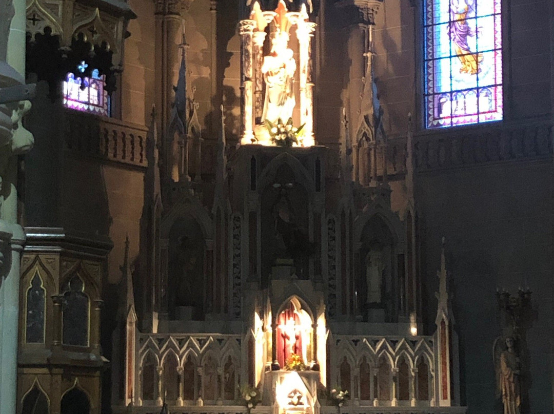 Catedral Nuestra Señora del Rosario景点图片
