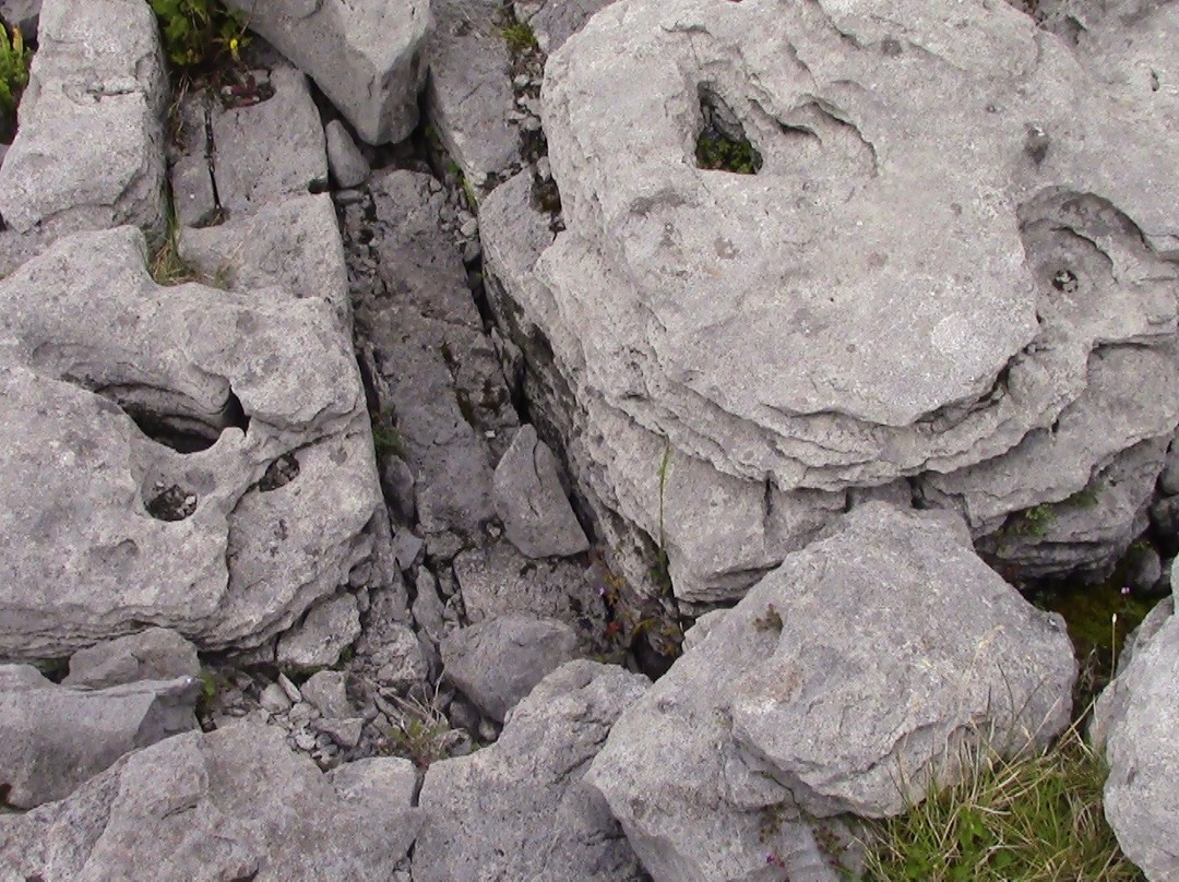 Poulnabrone Dolmen景点图片