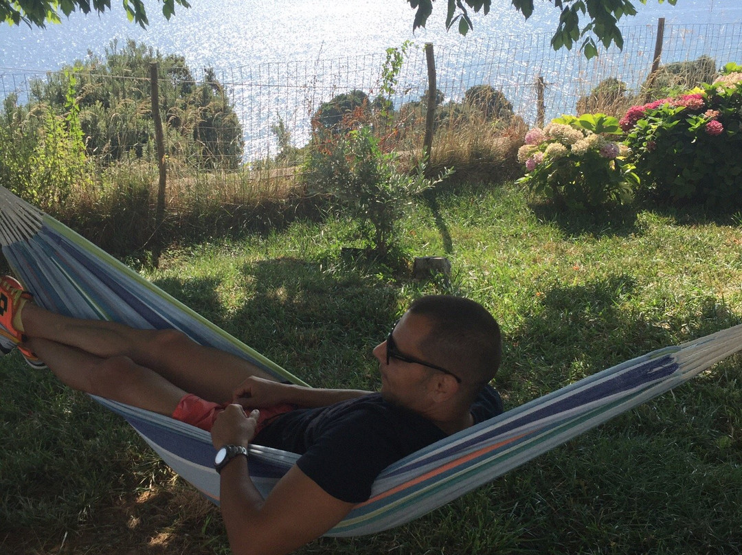 Enastron Guesthouse主图