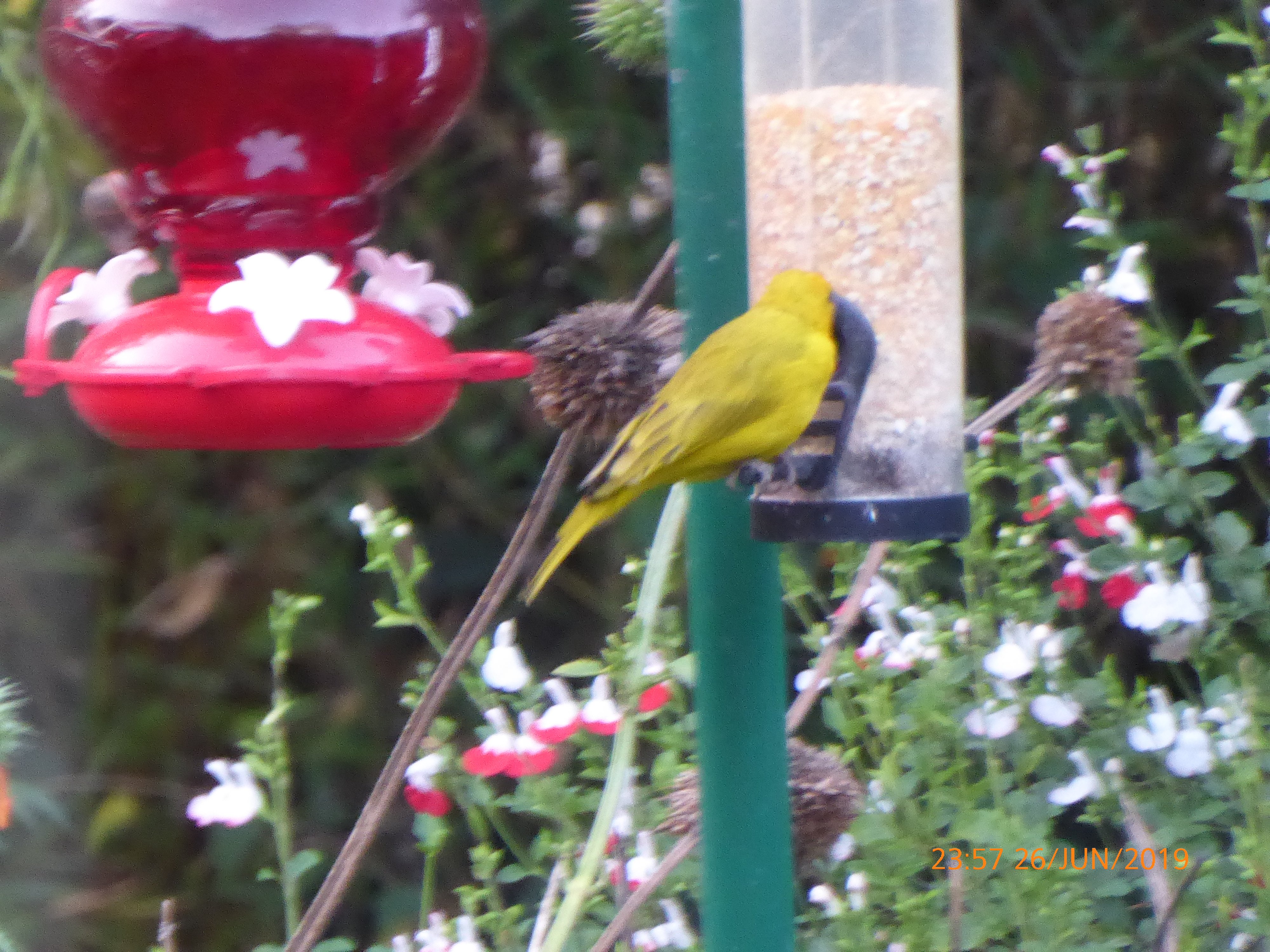 Puembo Birding Garden-浴室