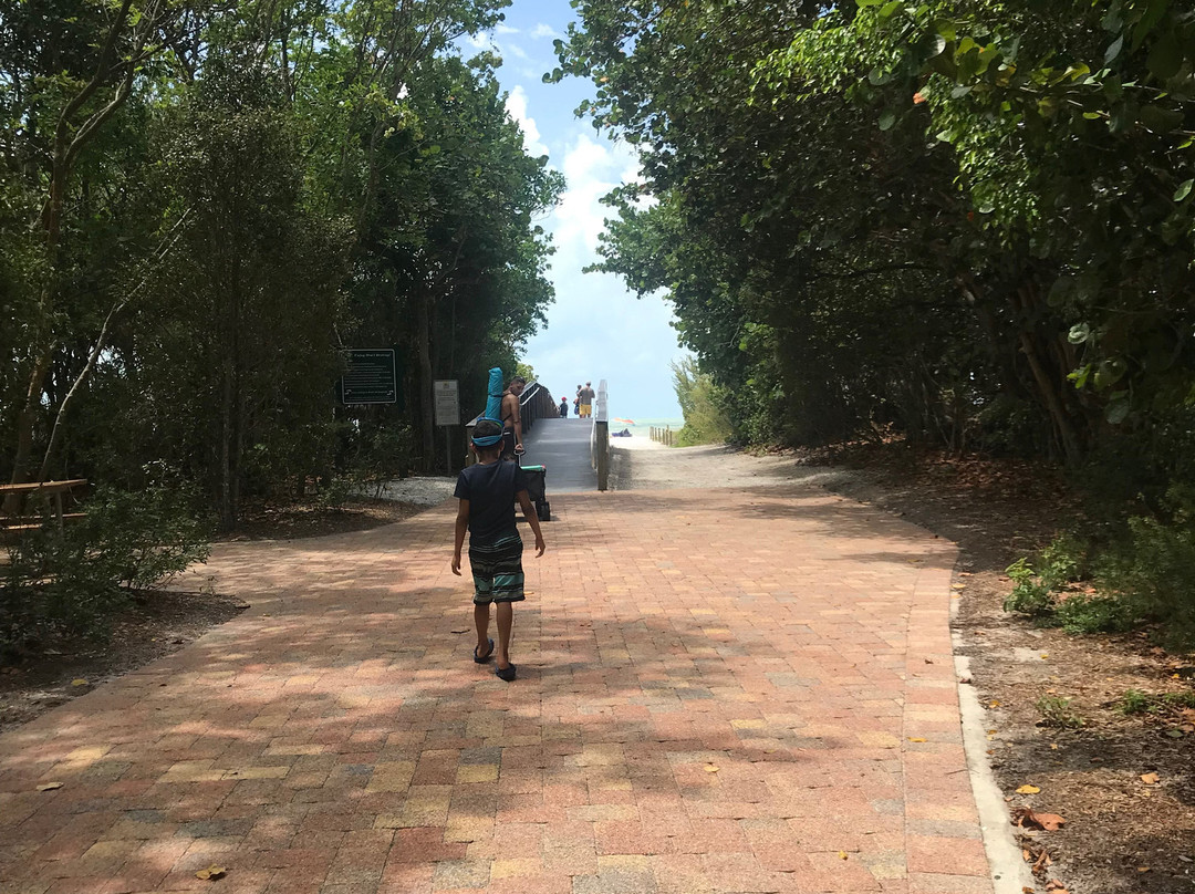 Tarpon Bay Beach景点图片