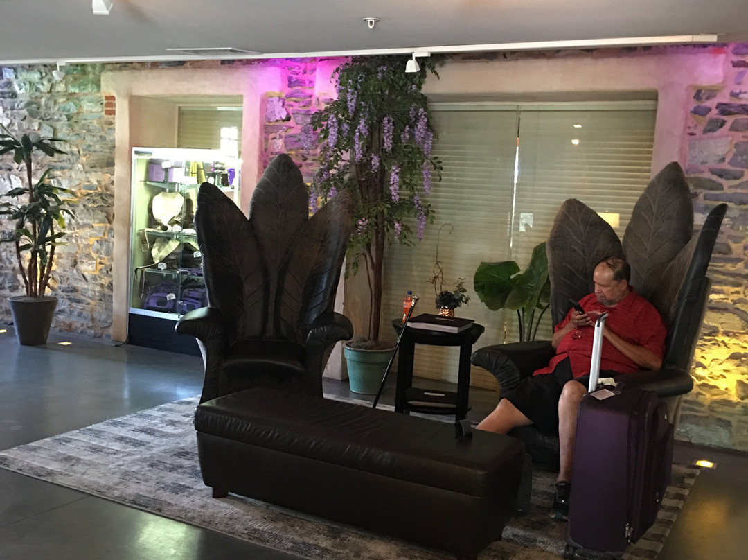 Lancaster Arts Hotel主图