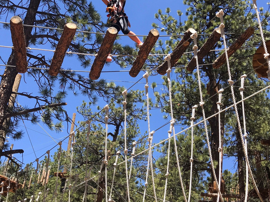 Treehouse Adventure Park-Bailey必去景点