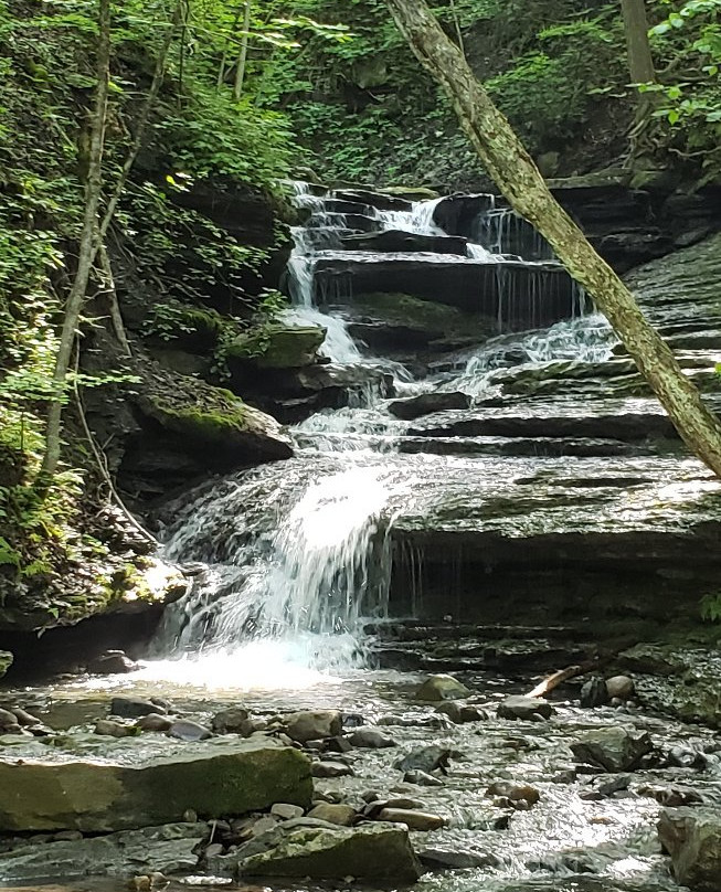 Pixley Falls State Park景点图片