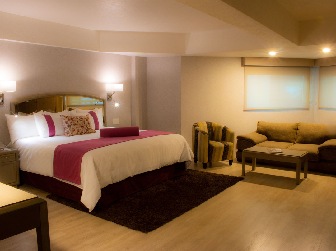 Mision Pachuca主图