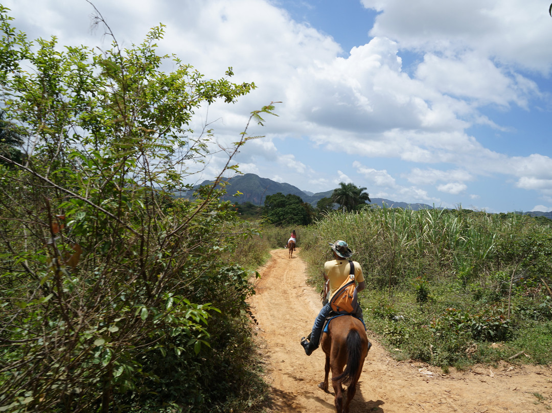 Step In The Valley-维纳勒斯必去景点