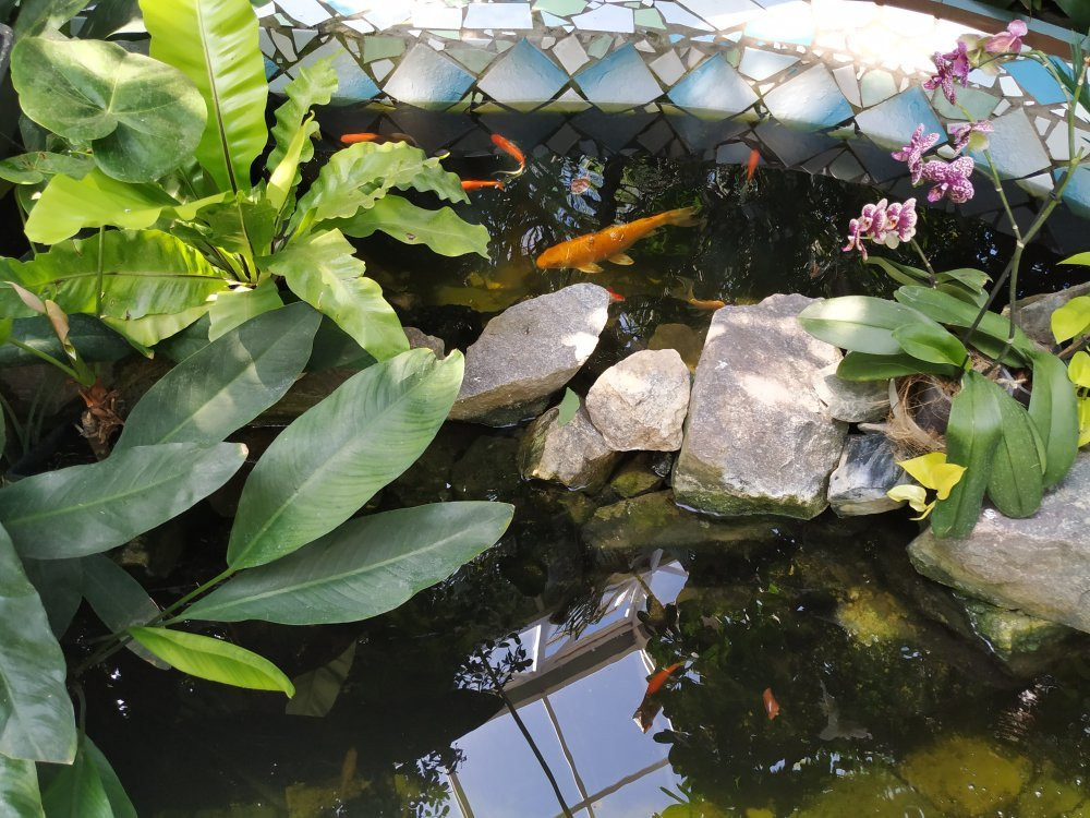 Zaporizhzhya City Children Botanic Gardens景点图片