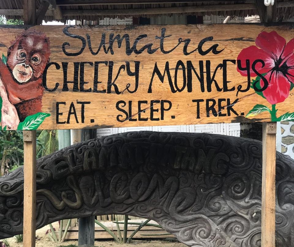 Sumatra Cheeky Monkeys主图