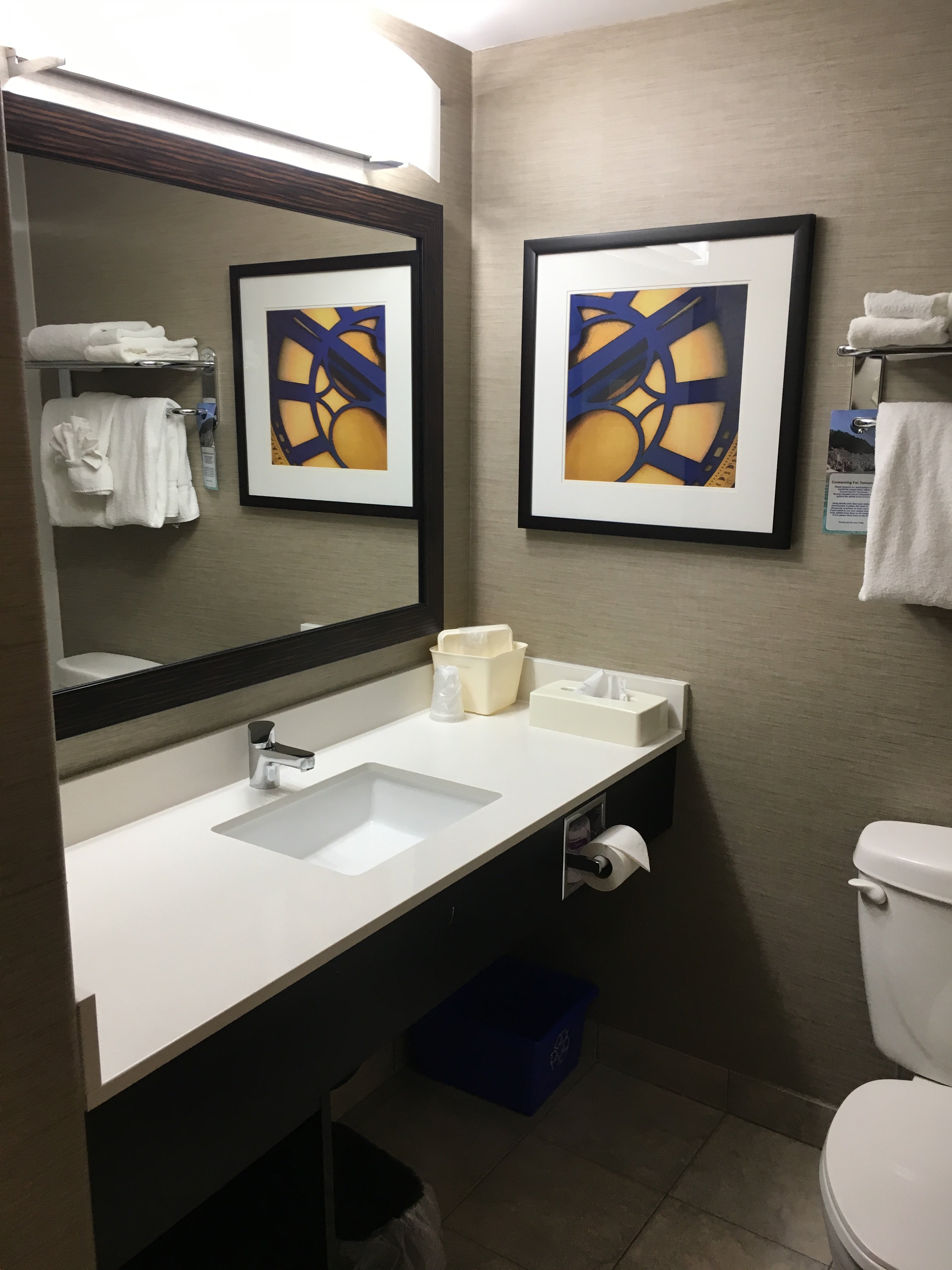 Holiday Inn & Suites Regina By IHG-浴室