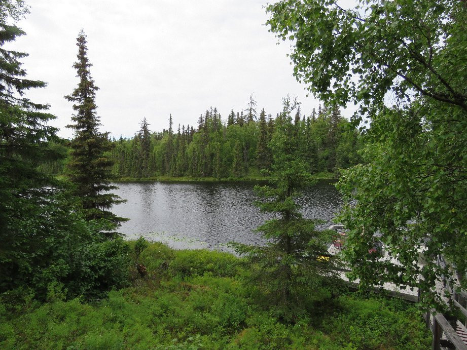 Escape For Two主图