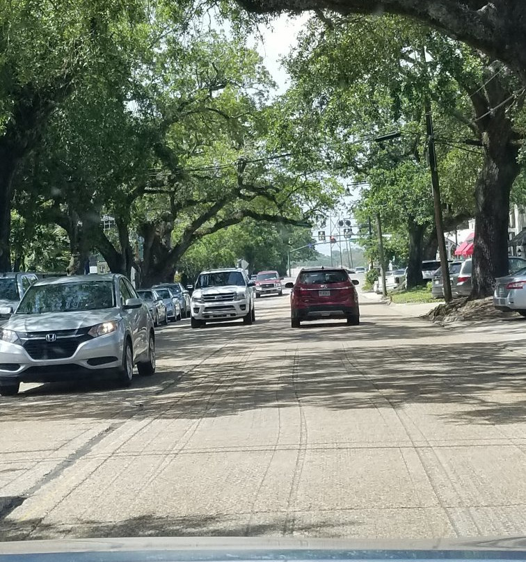 Coastal Magpie-Ocean Springs必去景点