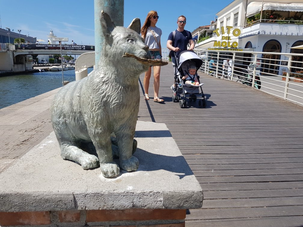 Statua di Ettore - Il Gatto dei Pescatori-维亚雷焦必去景点