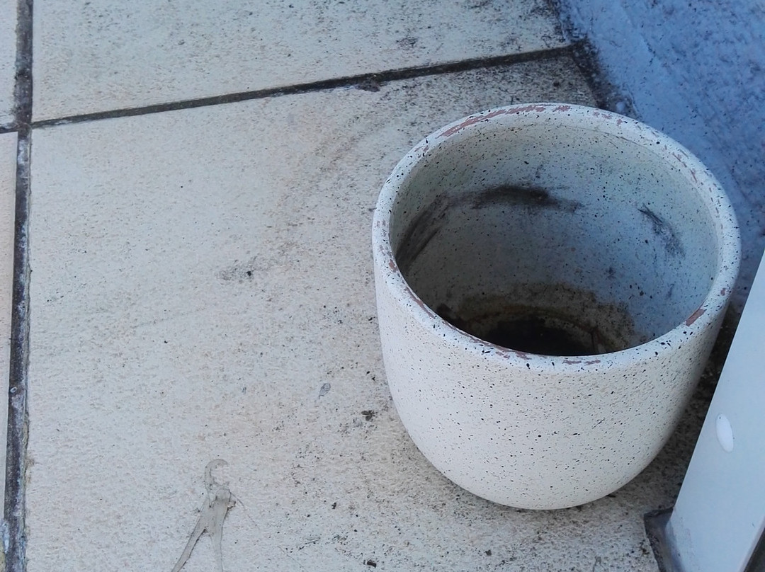 里贾纳酒店主图