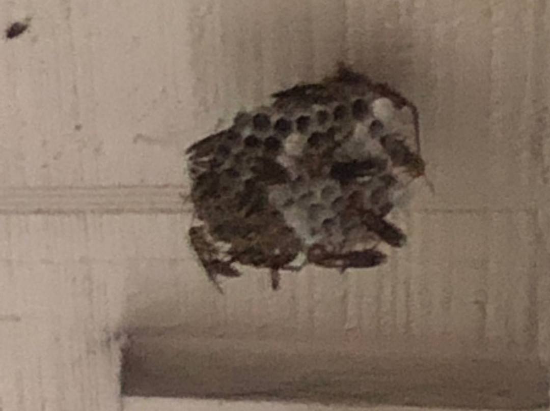 Best Western Garden Inn主图