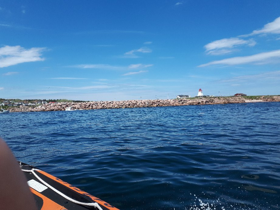 Dixon's Zodiac Seafari-Neil's Harbor必去景点