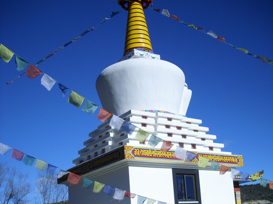 Budist Monastery Dag Shang Kagyu景点图片
